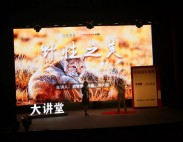 【活动回顾】虹舞台169期 中国国家地理大讲堂——野性之美